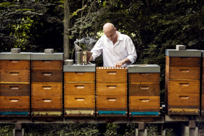 Thomas Zelenka bei der Bienenarbeit