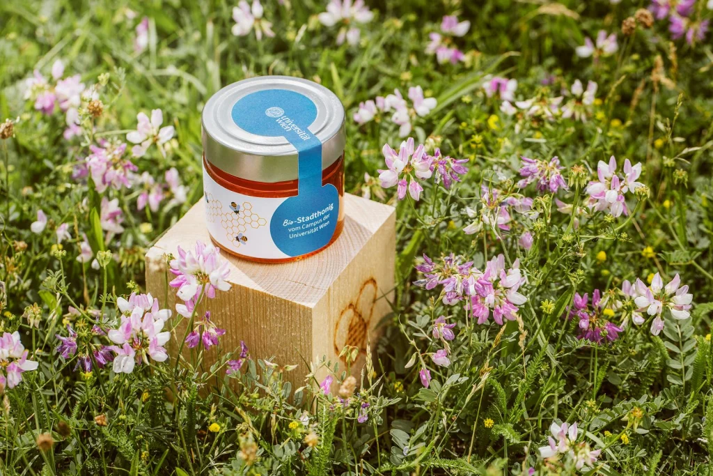 Honigglas im Design von Universität Wien auf einem Holzwürfel mit Zelenka-Brandzeichen in der Blumenwiese